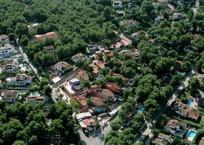 0315 Monteverde Limon